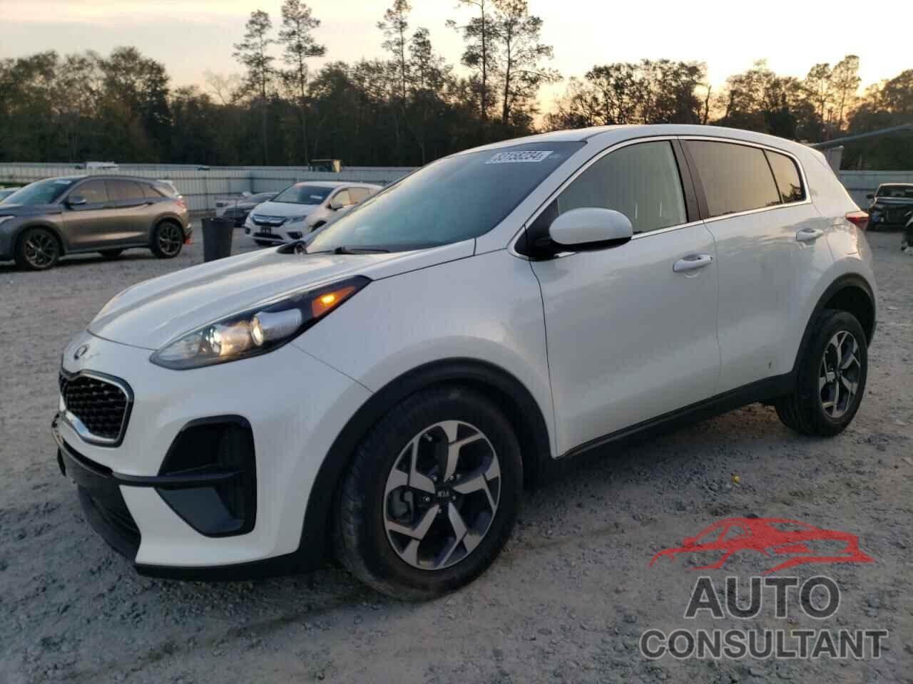 KIA SPORTAGE 2022 - KNDPM3AC4N7021106