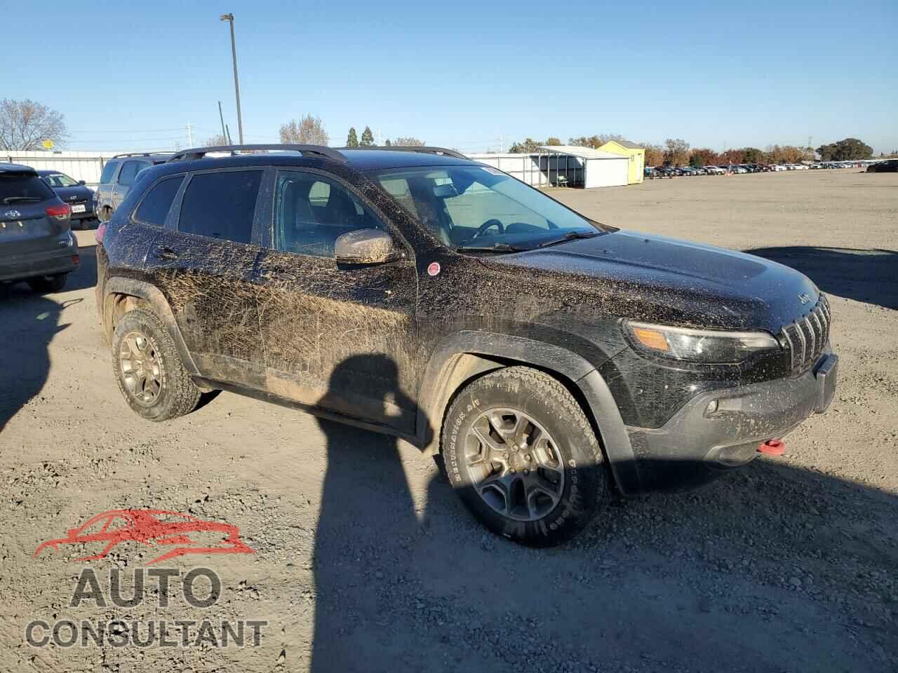JEEP CHEROKEE 2020 - 1C4PJMBX7LD518598