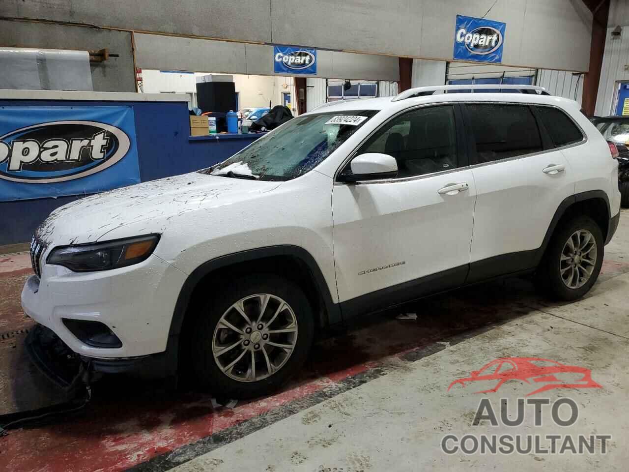 JEEP GRAND CHER 2019 - 1C4PJLLN0KD262469