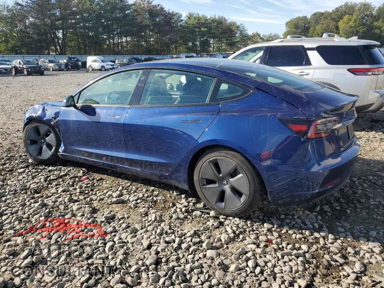 TESLA MODEL 3 2021 - 5YJ3E1EB5MF055629