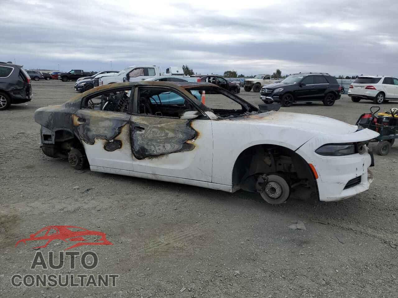 DODGE CHARGER 2019 - 2C3CDXBG9KH728133