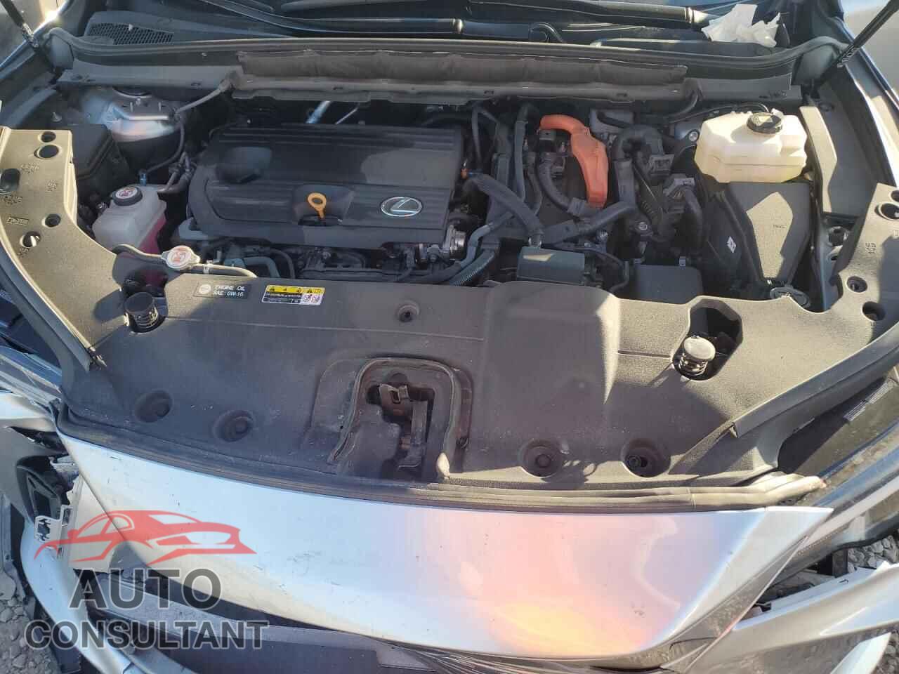 LEXUS RX 350H BA 2024 - 2T2BBMCA8RC023894