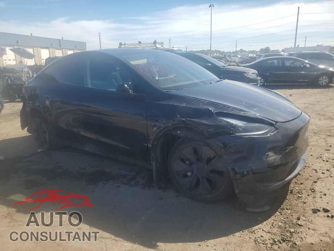 TESLA MODEL Y 2024 - 7SAYGAEE3RF106923