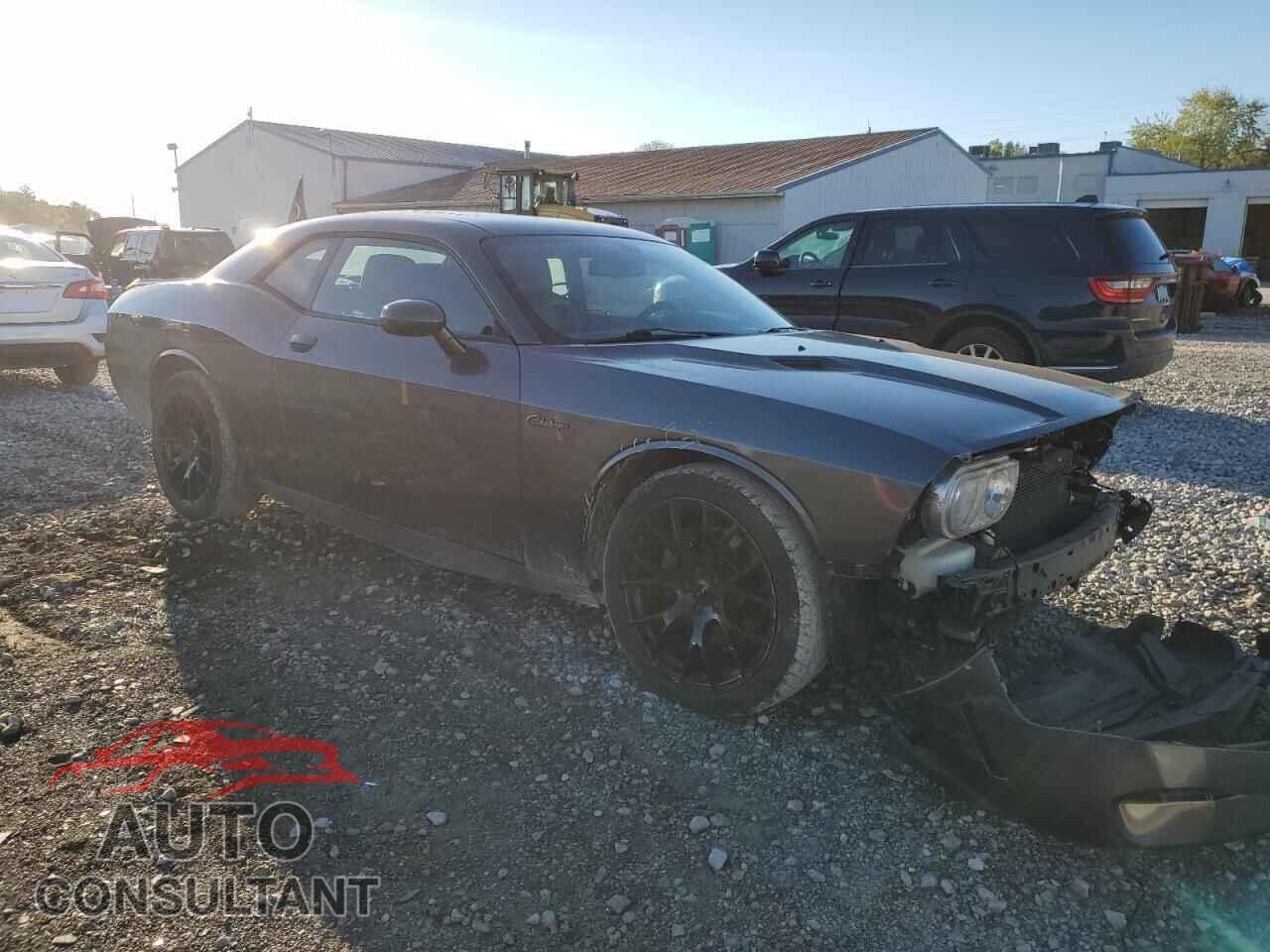 DODGE CHALLENGER 2013 - 2C3CDYAG2DH635755