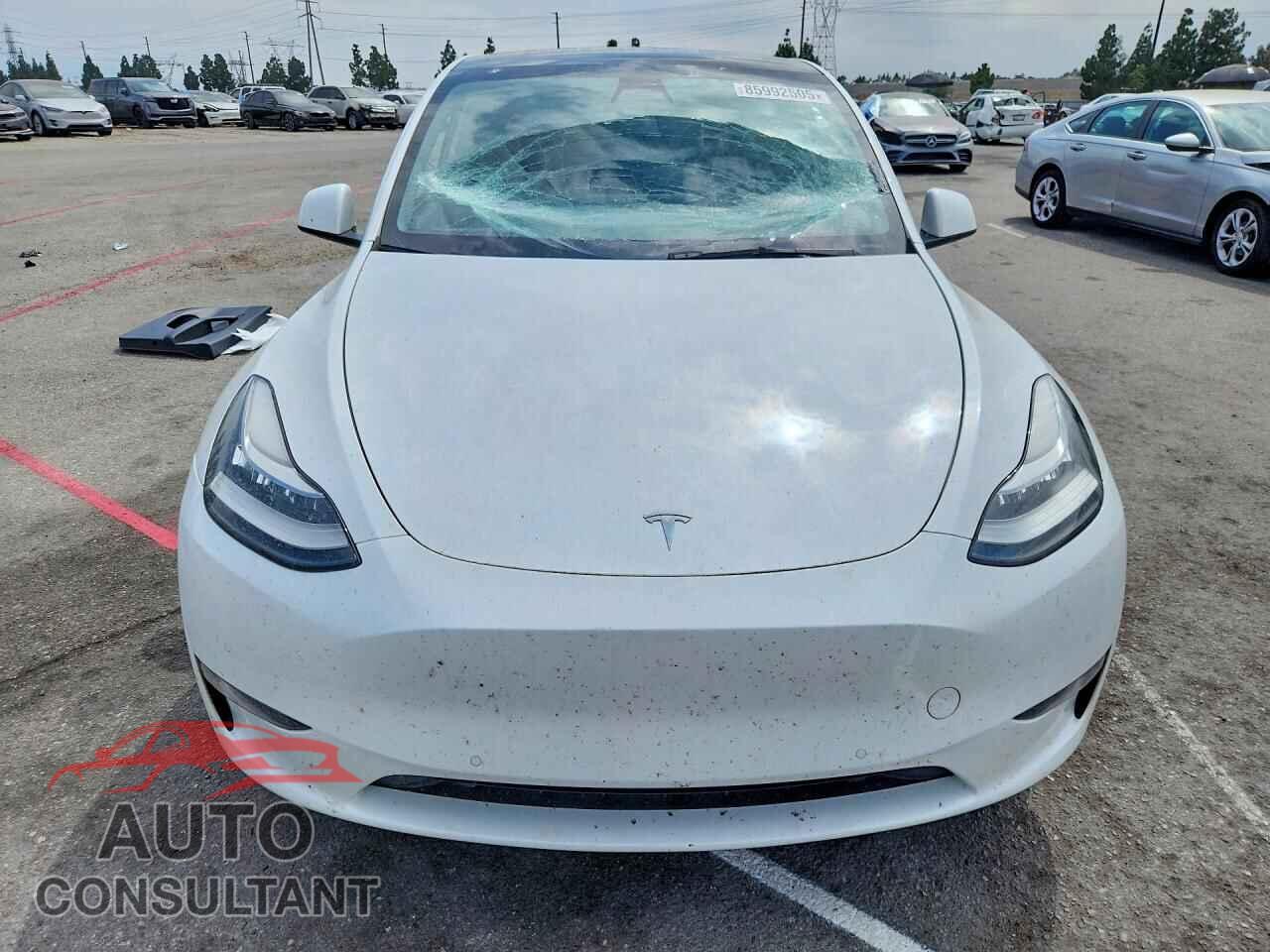 TESLA MODEL Y 2022 - 7SAYGDEE8NF327641