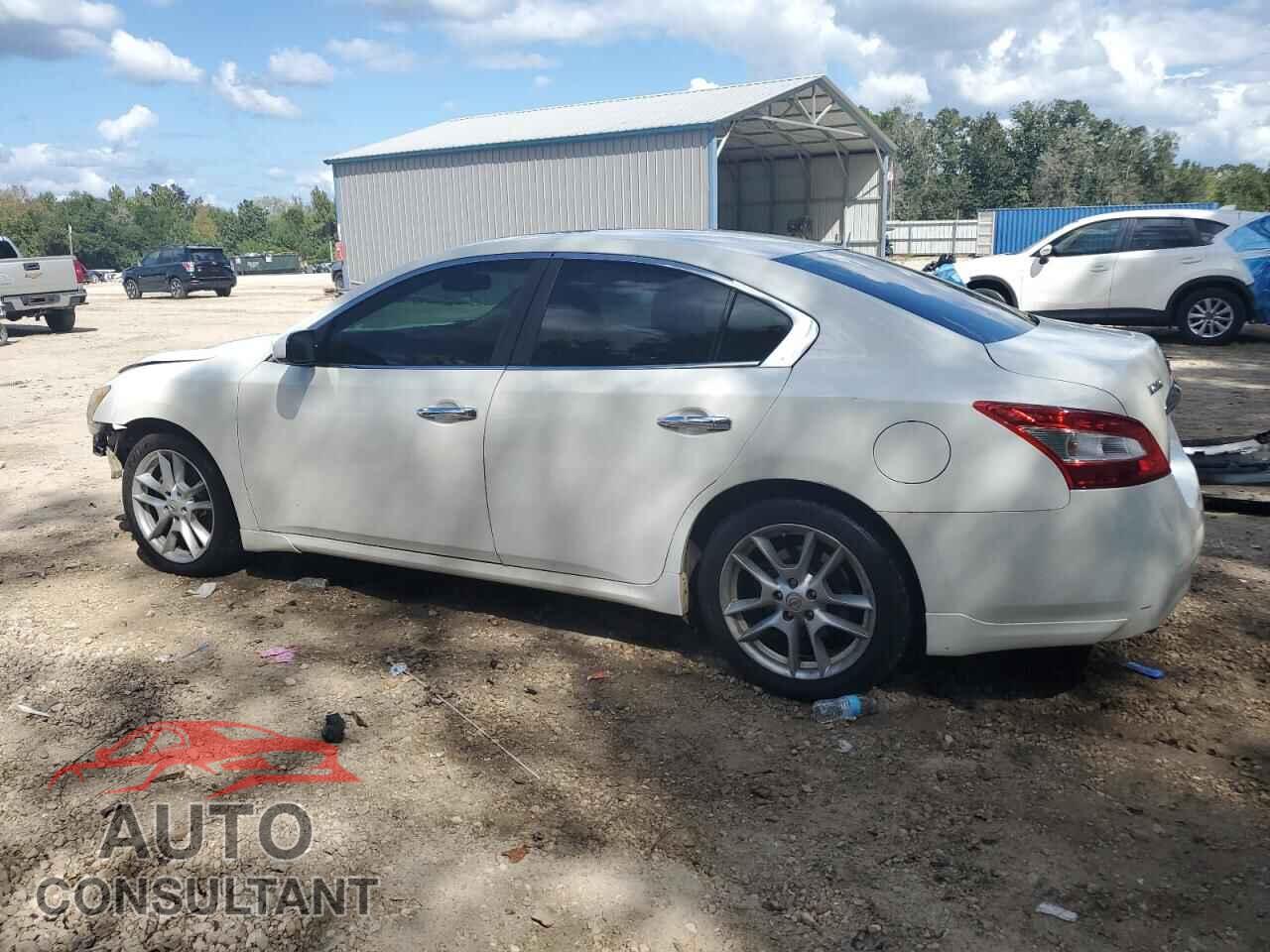 NISSAN MAXIMA 2010 - 1N4AA5APXAC849603