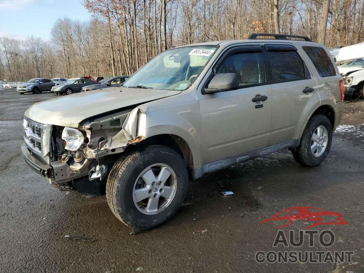 FORD ESCAPE 2010 - 1FMCU9D76AKC58618