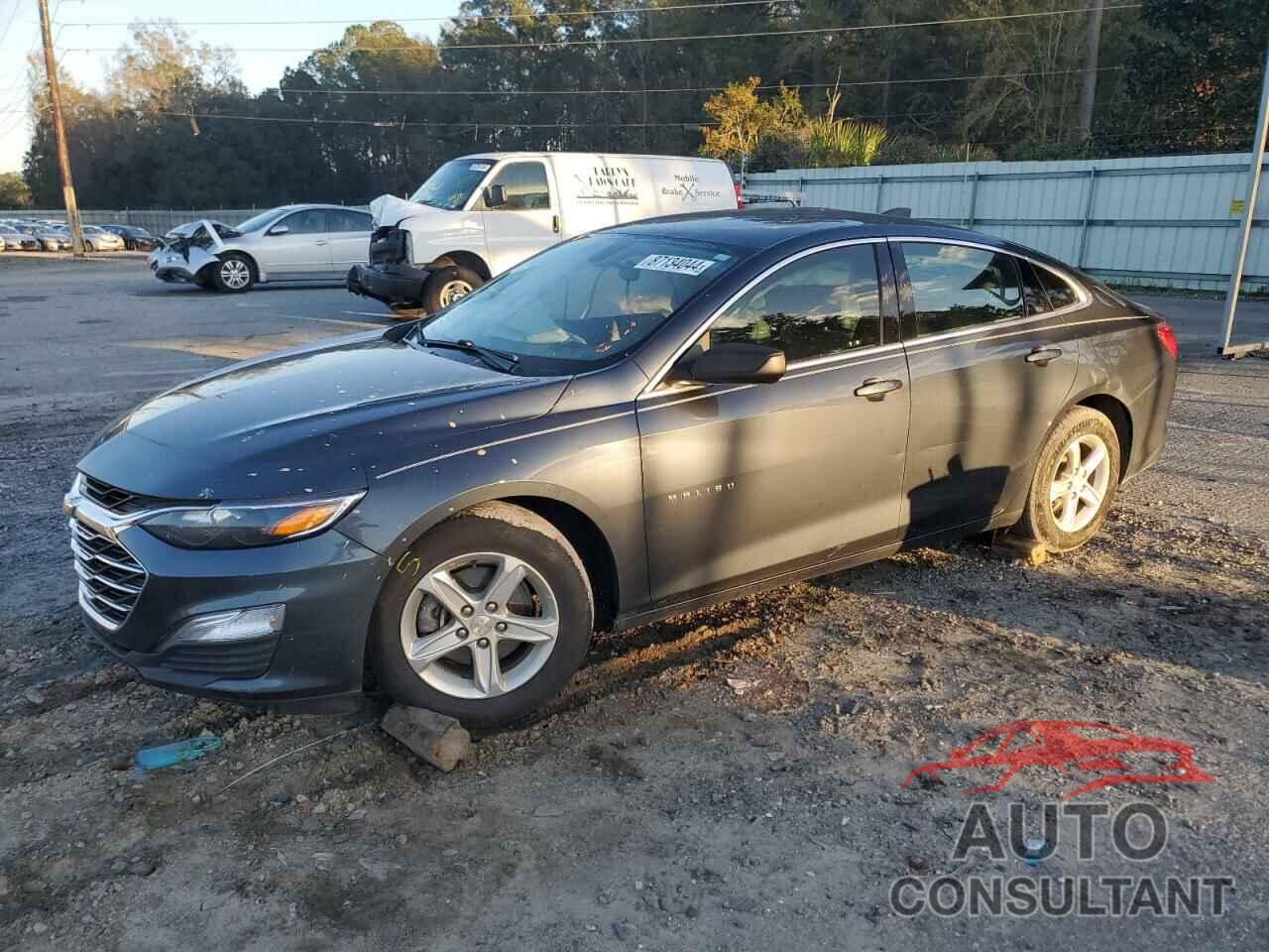 CHEVROLET MALIBU 2019 - 1G1ZB5ST7KF201120