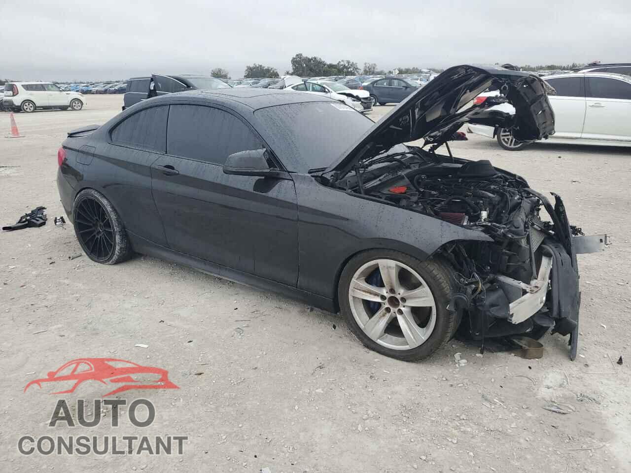 BMW M2 2017 - WBA2G1C38HV638976