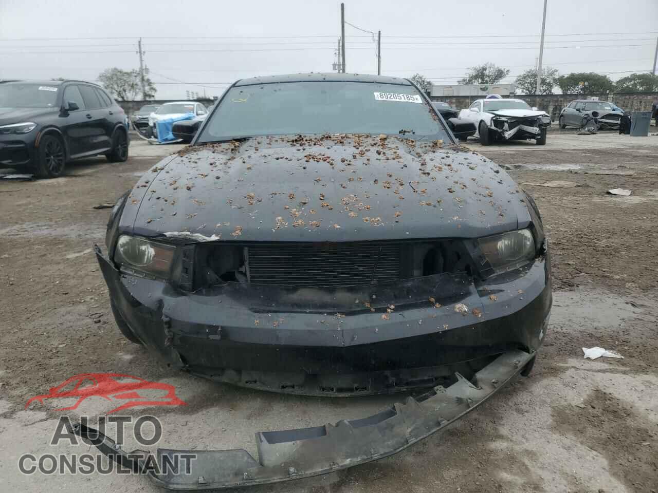 FORD ALL OTHER 2011 - 1ZVBP8CF4B5146181