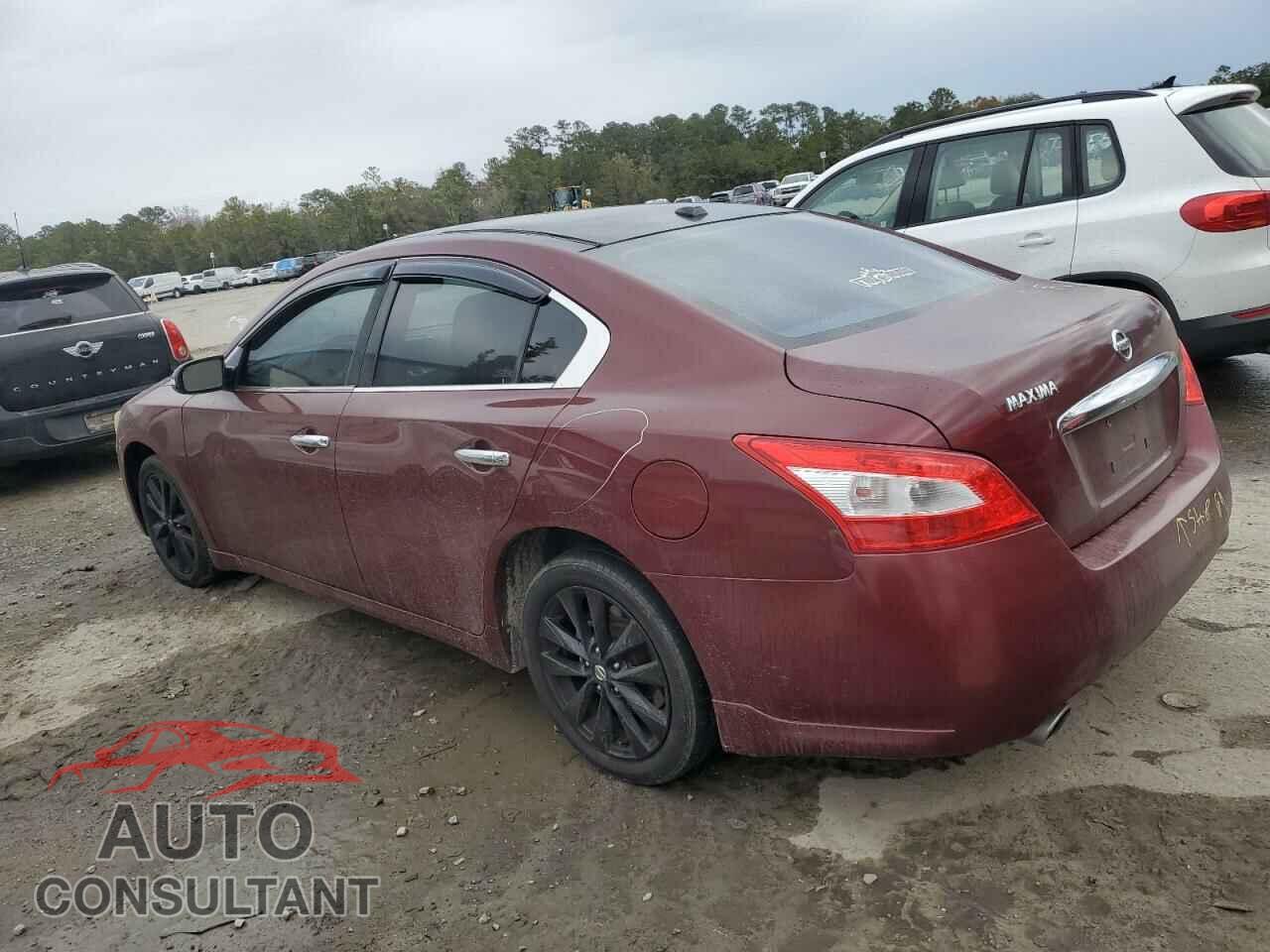 NISSAN MAXIMA 2011 - 1N4AA5AP5BC803257