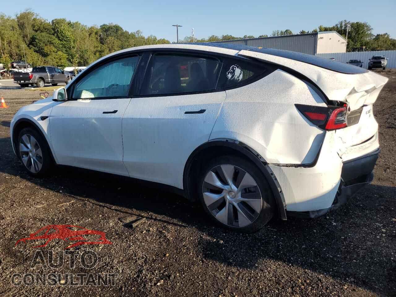 TESLA MODEL Y 2024 - 7SAYGDED6RF044698