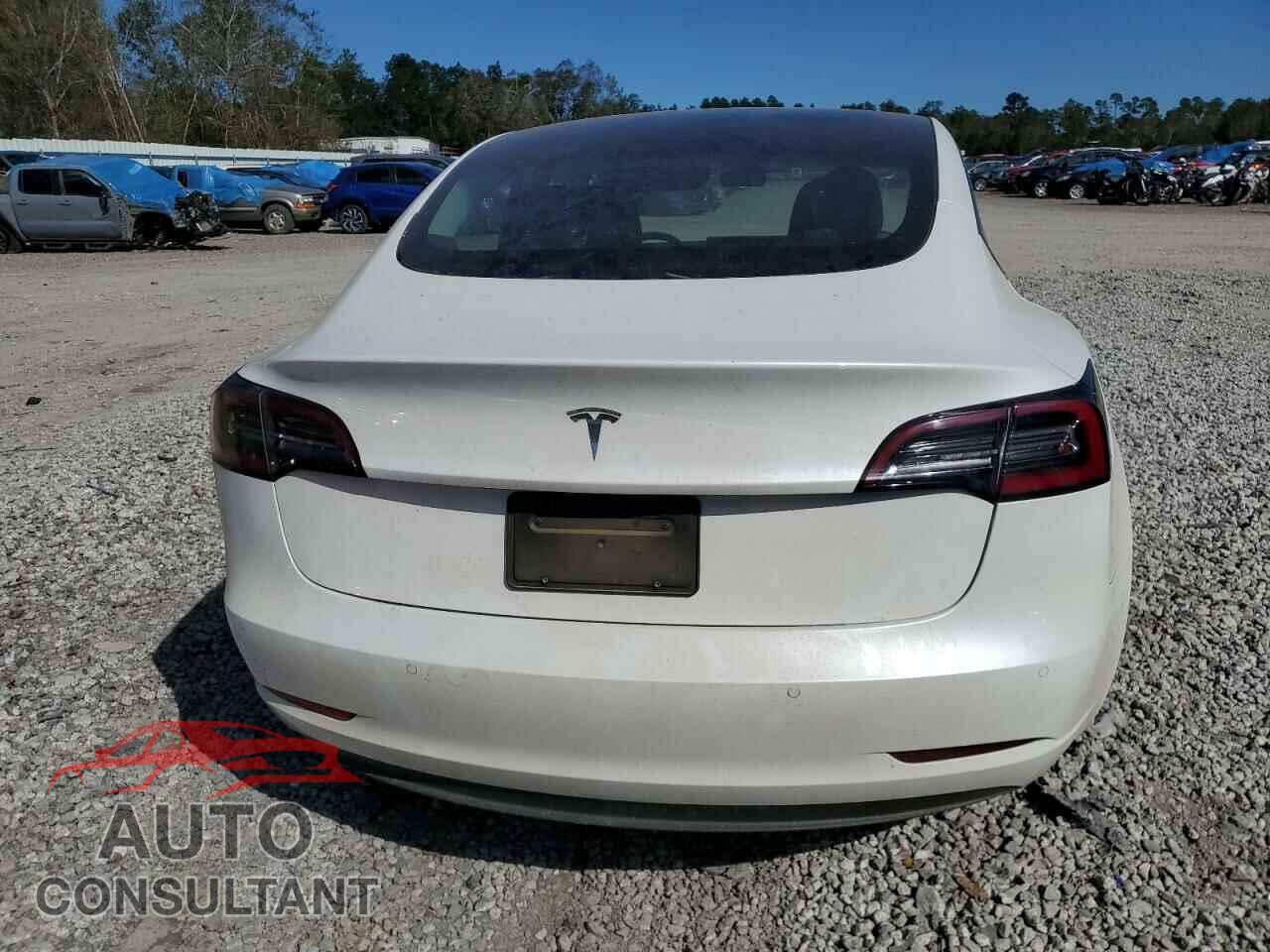 TESLA MODEL 3 2021 - 5YJ3E1EA0MF976356