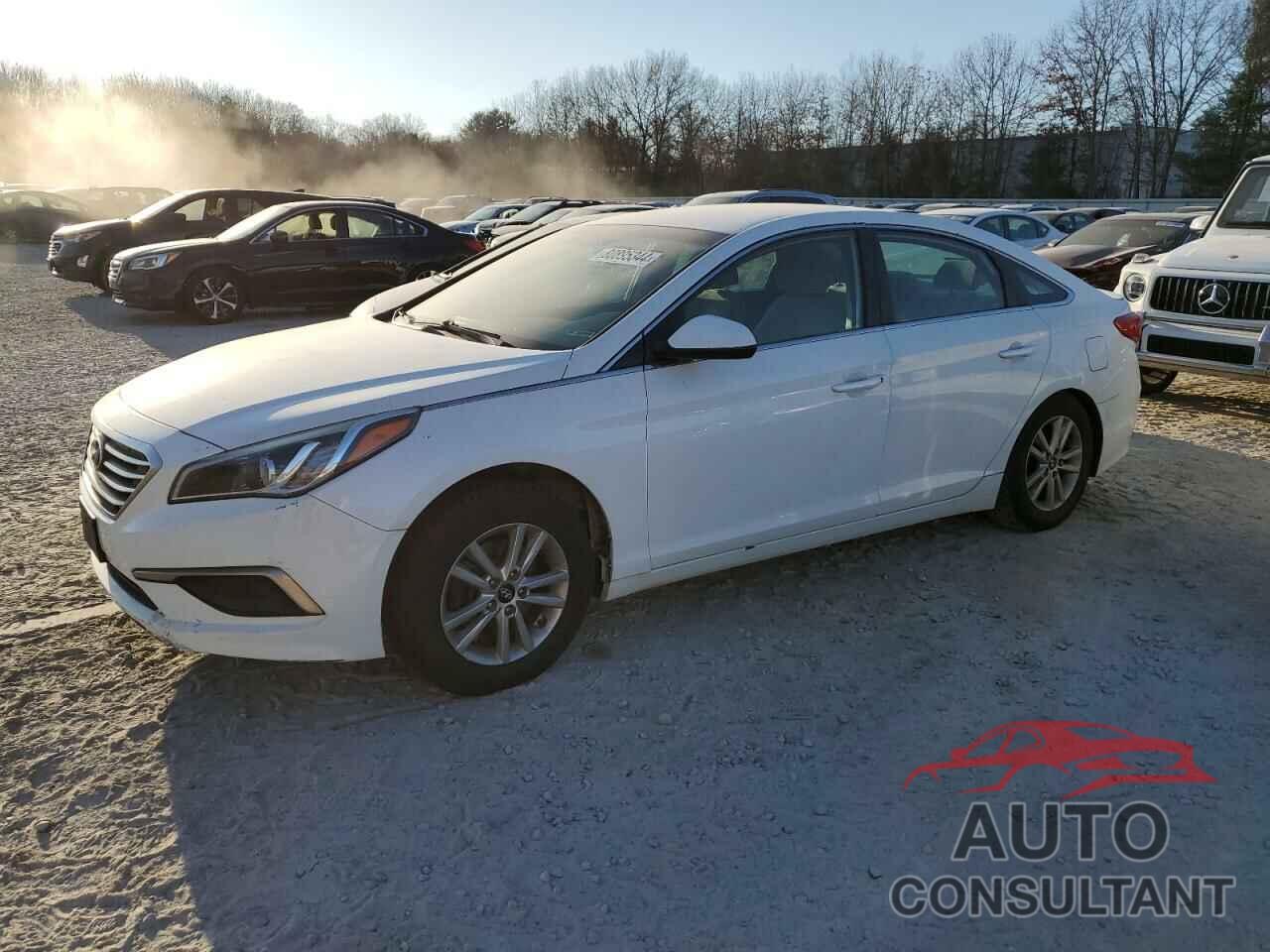 HYUNDAI SONATA 2017 - 5NPE24AF3HH492998