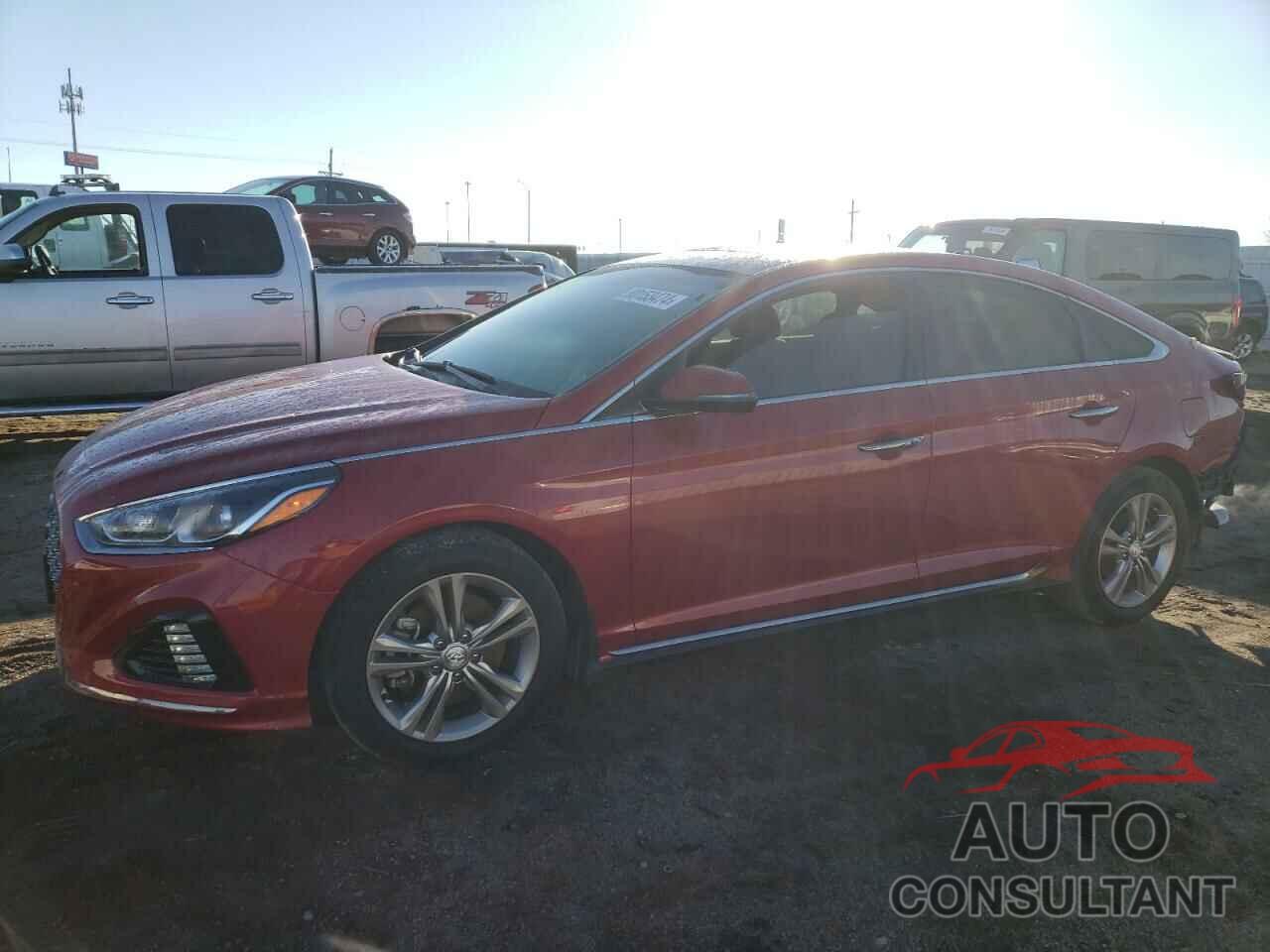 HYUNDAI SONATA 2019 - 5NPE34AF6KH818491