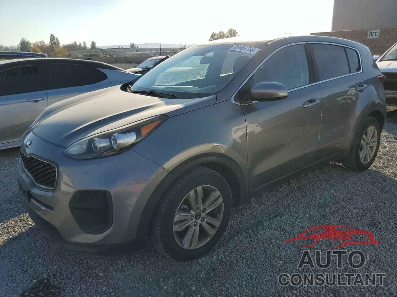 KIA SPORTAGE 2017 - KNDPM3AC6H7280815