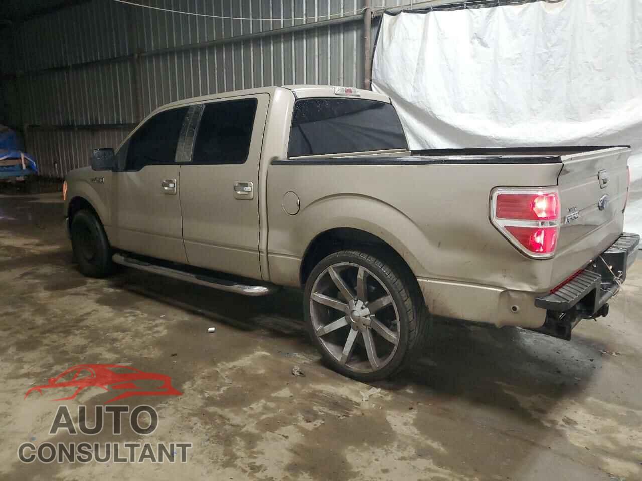 FORD F-150 2009 - 1FTRW12899FA10843
