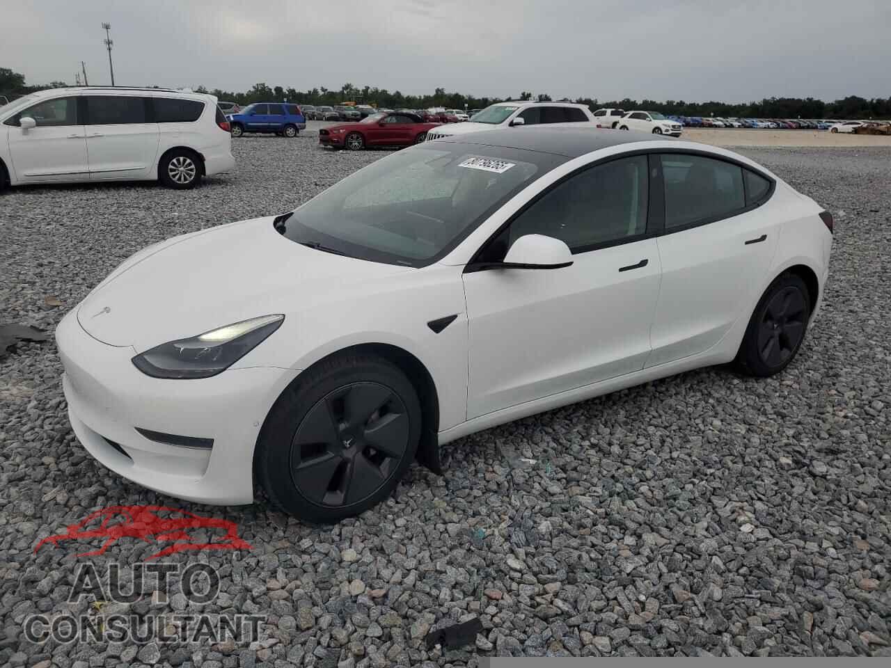 TESLA MODEL 3 2021 - 5YJ3E1EA8MF045491