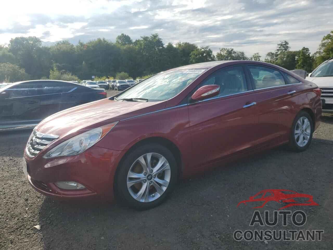 HYUNDAI SONATA 2011 - 5NPEC4AC9BH307928