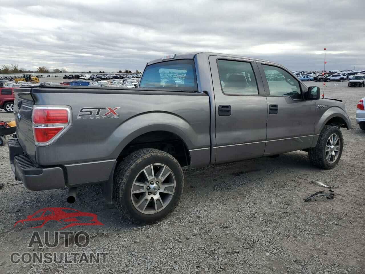 FORD F-150 2014 - 1FTFW1EF8EKE95149