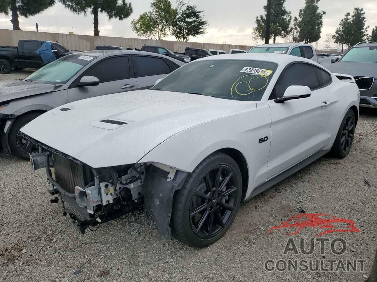 FORD MUSTANG 2019 - 1FA6P8CF4K5189736