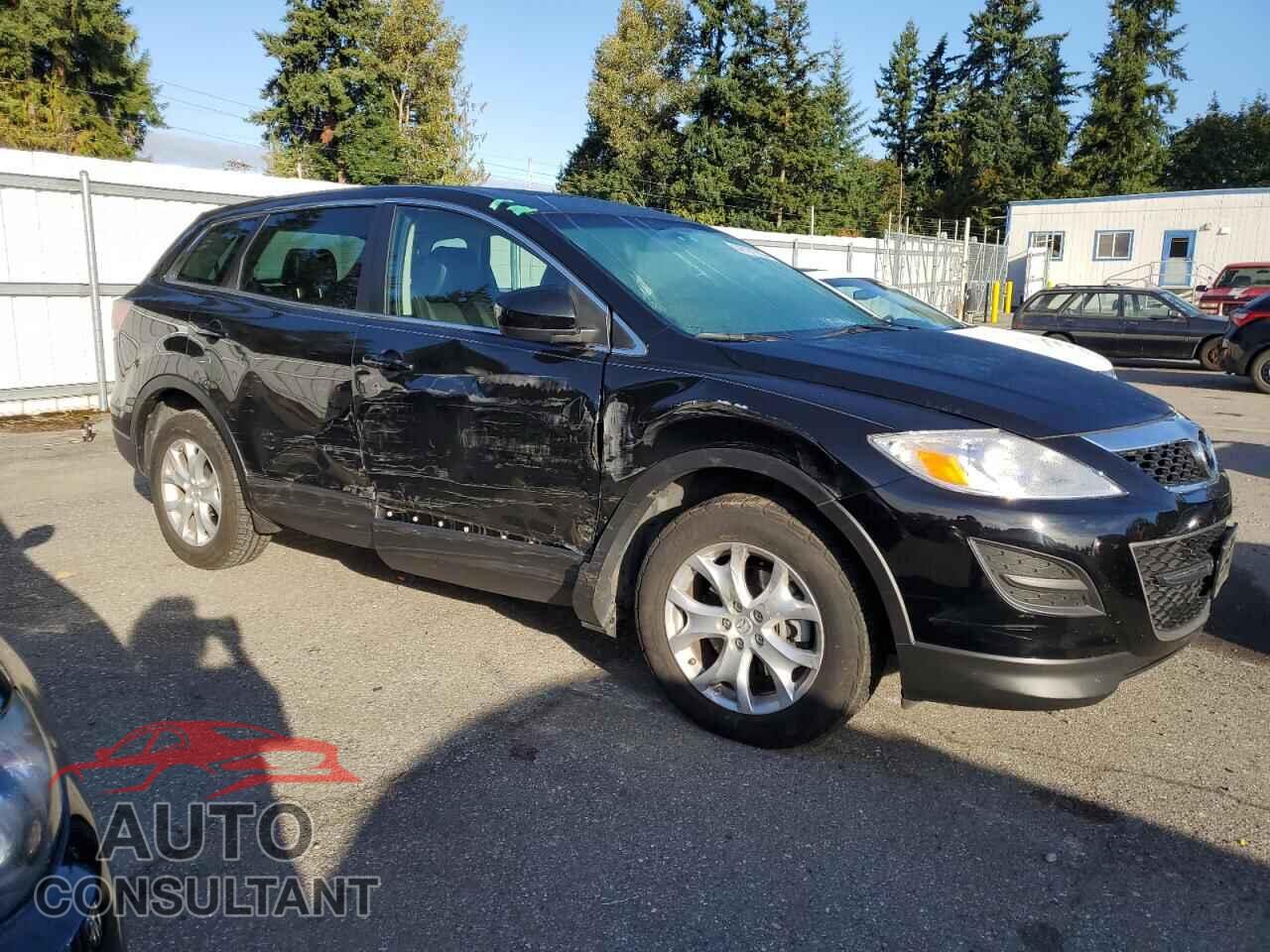 MAZDA CX-9 2011 - JM3TB3CV0B0310658