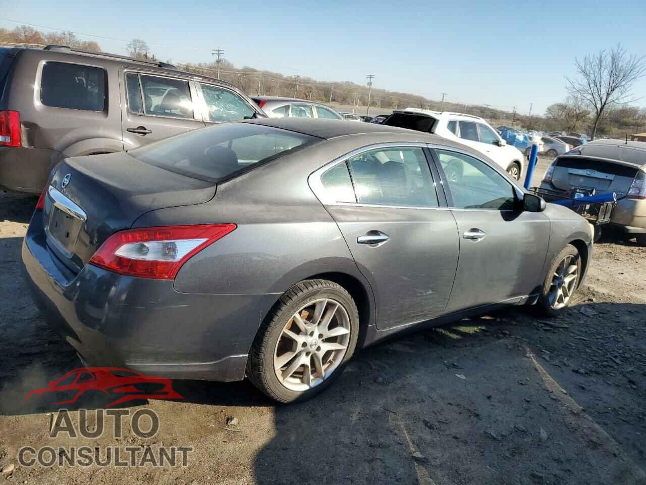 NISSAN MAXIMA 2011 - 1N4AA5AP7BC813675