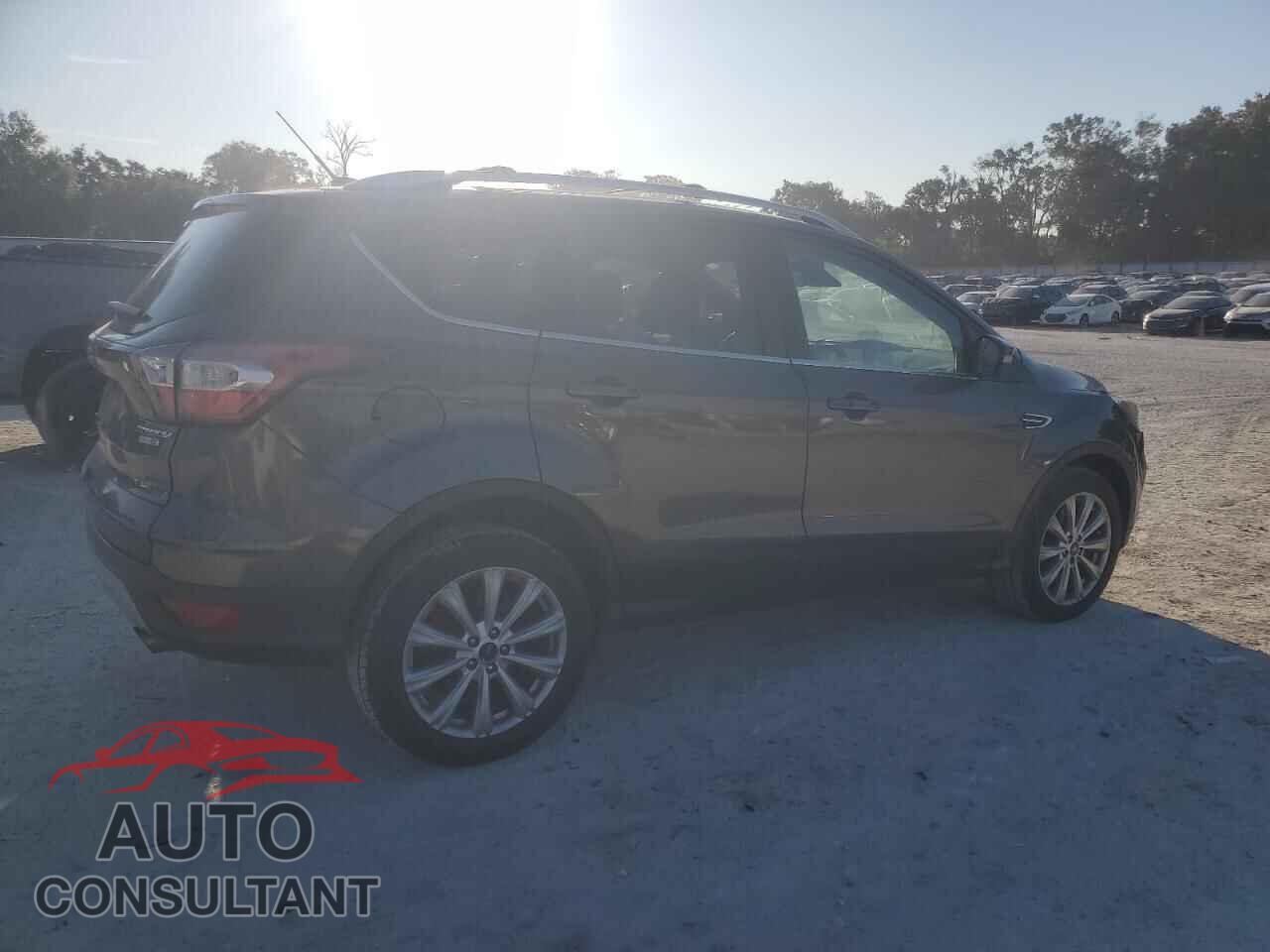 FORD ESCAPE 2017 - 1FMCU9JD8HUB43916