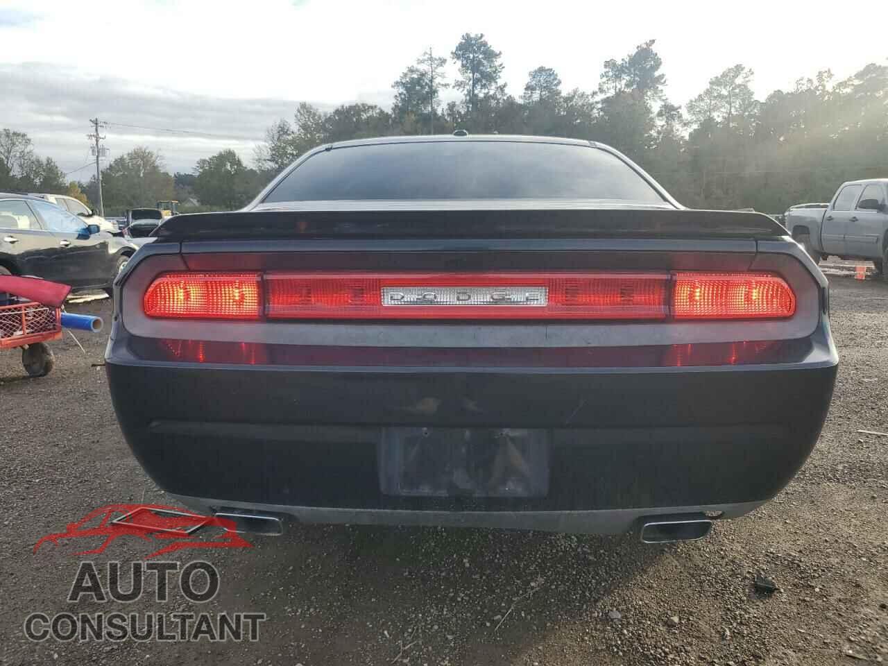 DODGE CHALLENGER 2013 - 2C3CDYBT8DH500520