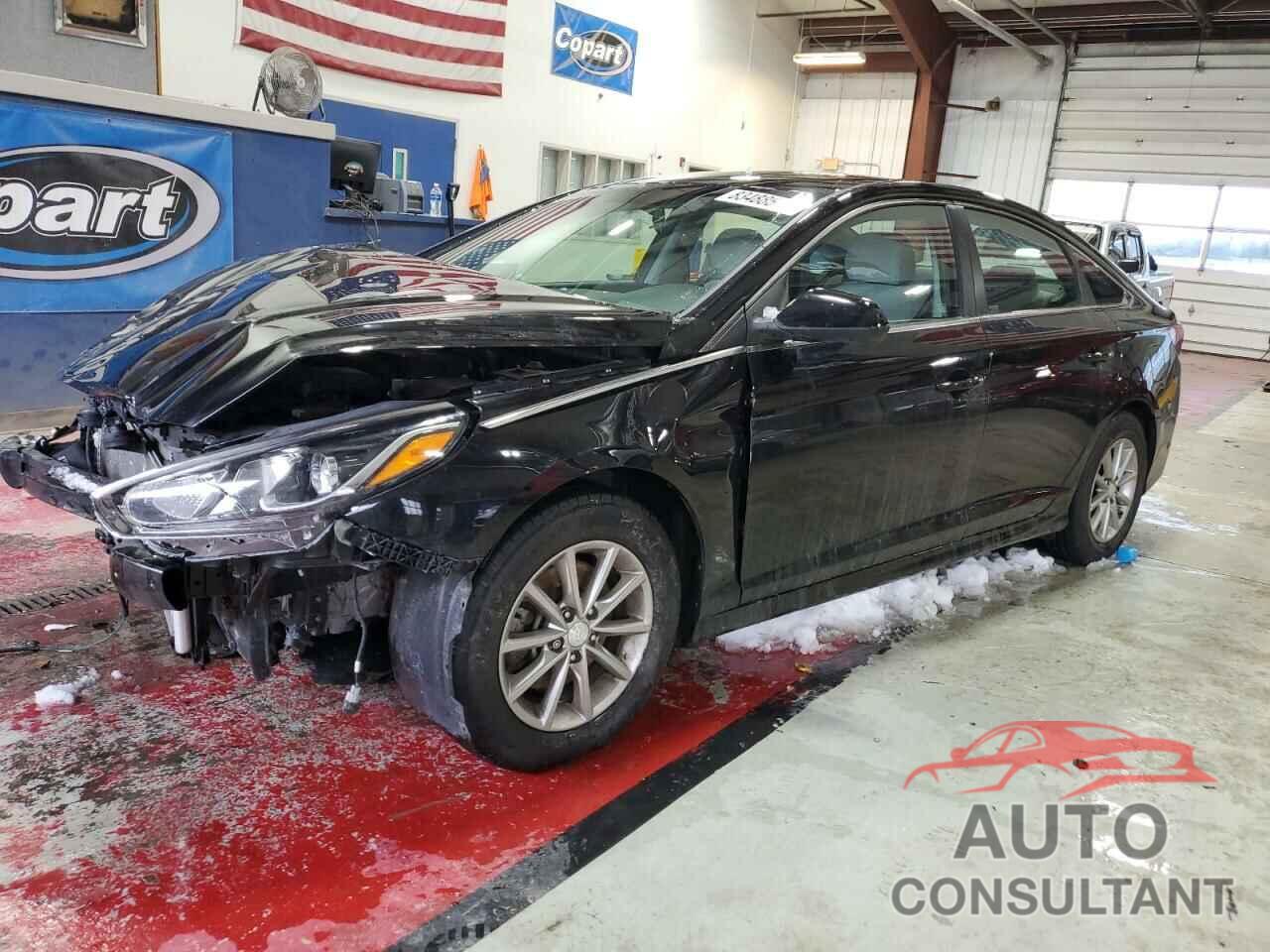 HYUNDAI SONATA 2019 - 5NPE24AF4KH751196