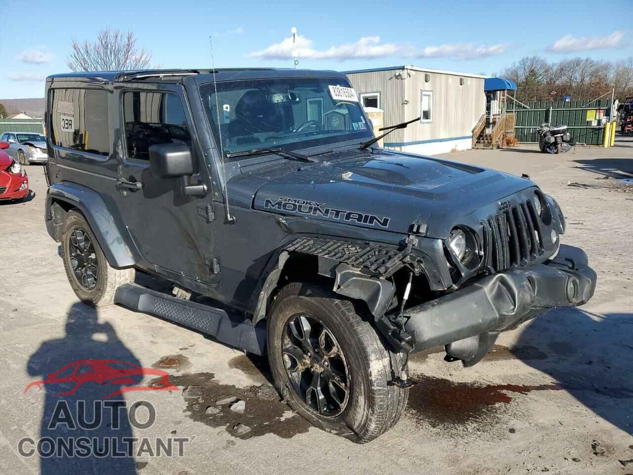 JEEP WRANGLER 2017 - 1C4AJWBGXHL648213
