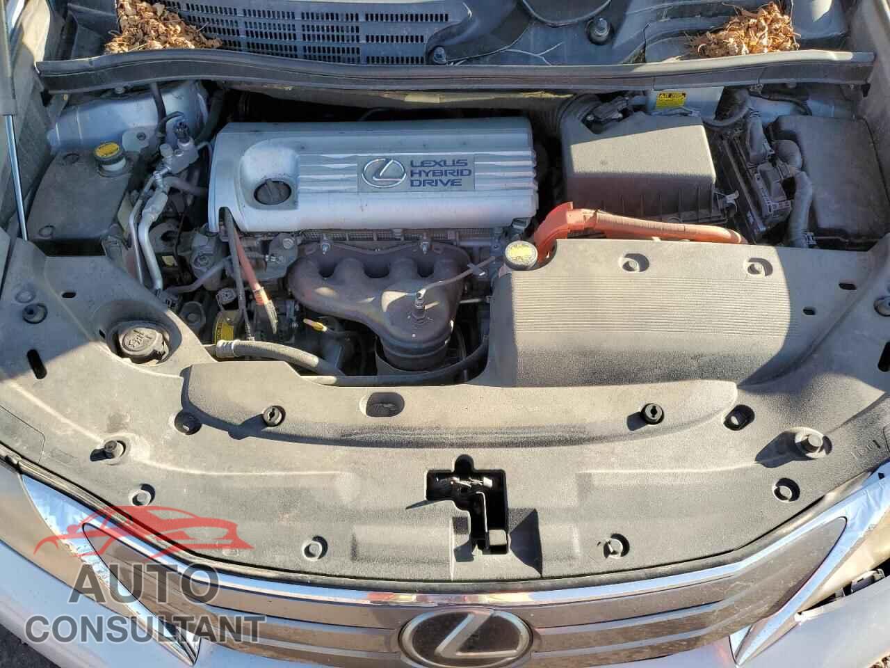 LEXUS HS 2010 - JTHBB1BA9A2007953