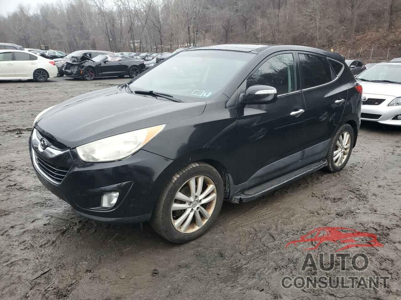 HYUNDAI TUCSON 2011 - KM8JUCAC7BU154912