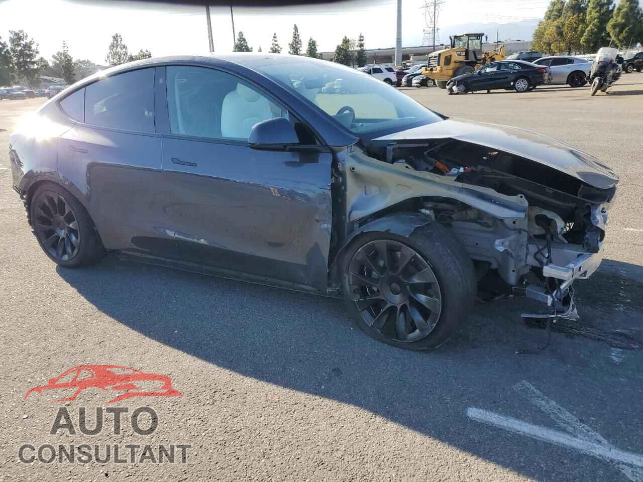 TESLA MODEL Y 2023 - 7SAYGAEE2PF646213