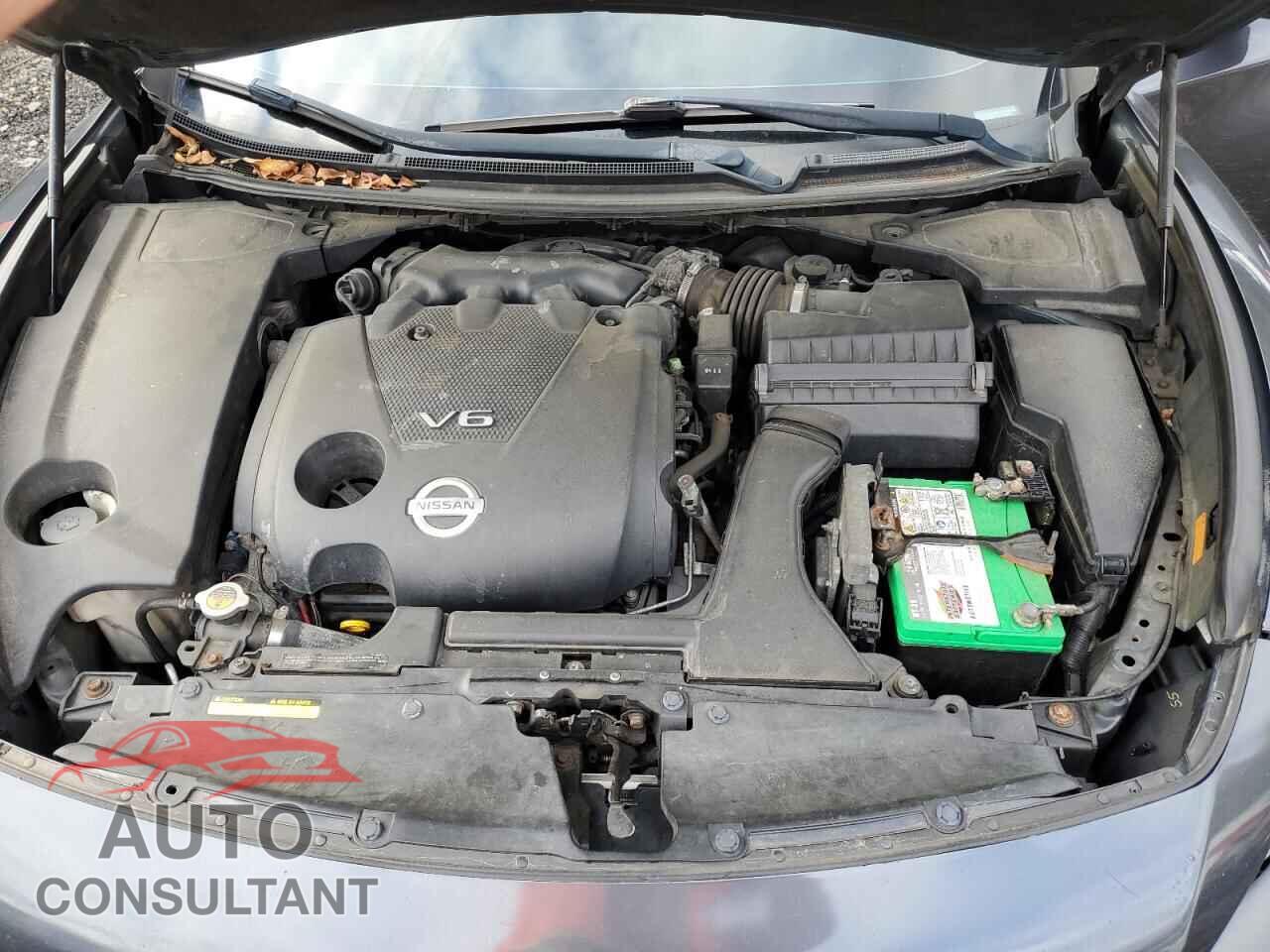 NISSAN MAXIMA 2011 - 1N4AA5AP7BC843405