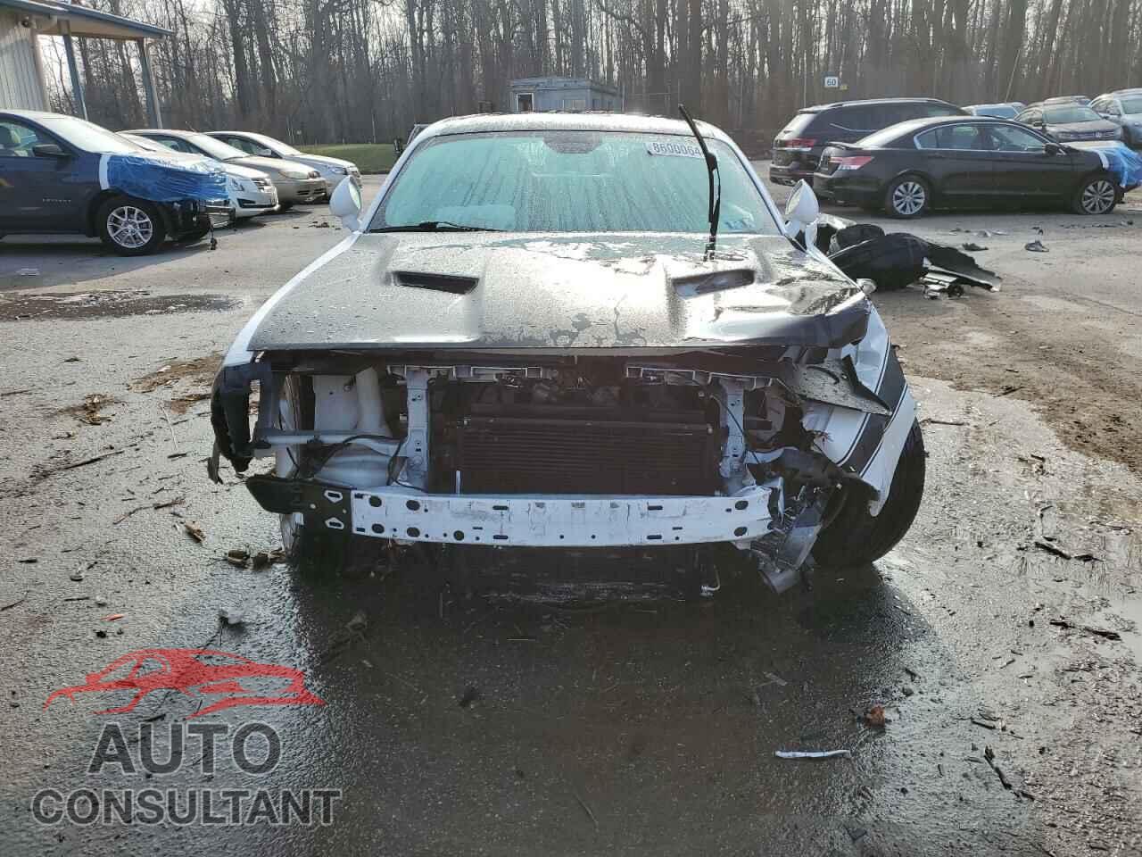 DODGE CHALLENGER 2020 - 2C3CDZBT8LH227048