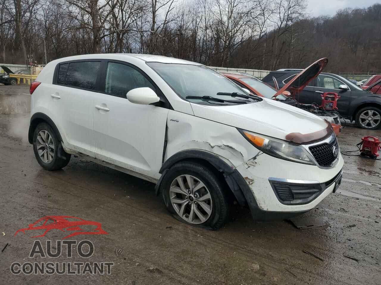 KIA SPORTAGE 2014 - KNDPBCAC2E7581390
