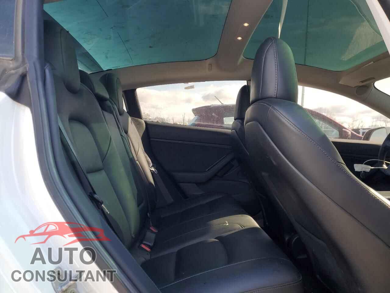 TESLA MODEL 3 2019 - 5YJ3E1EBXKF511055