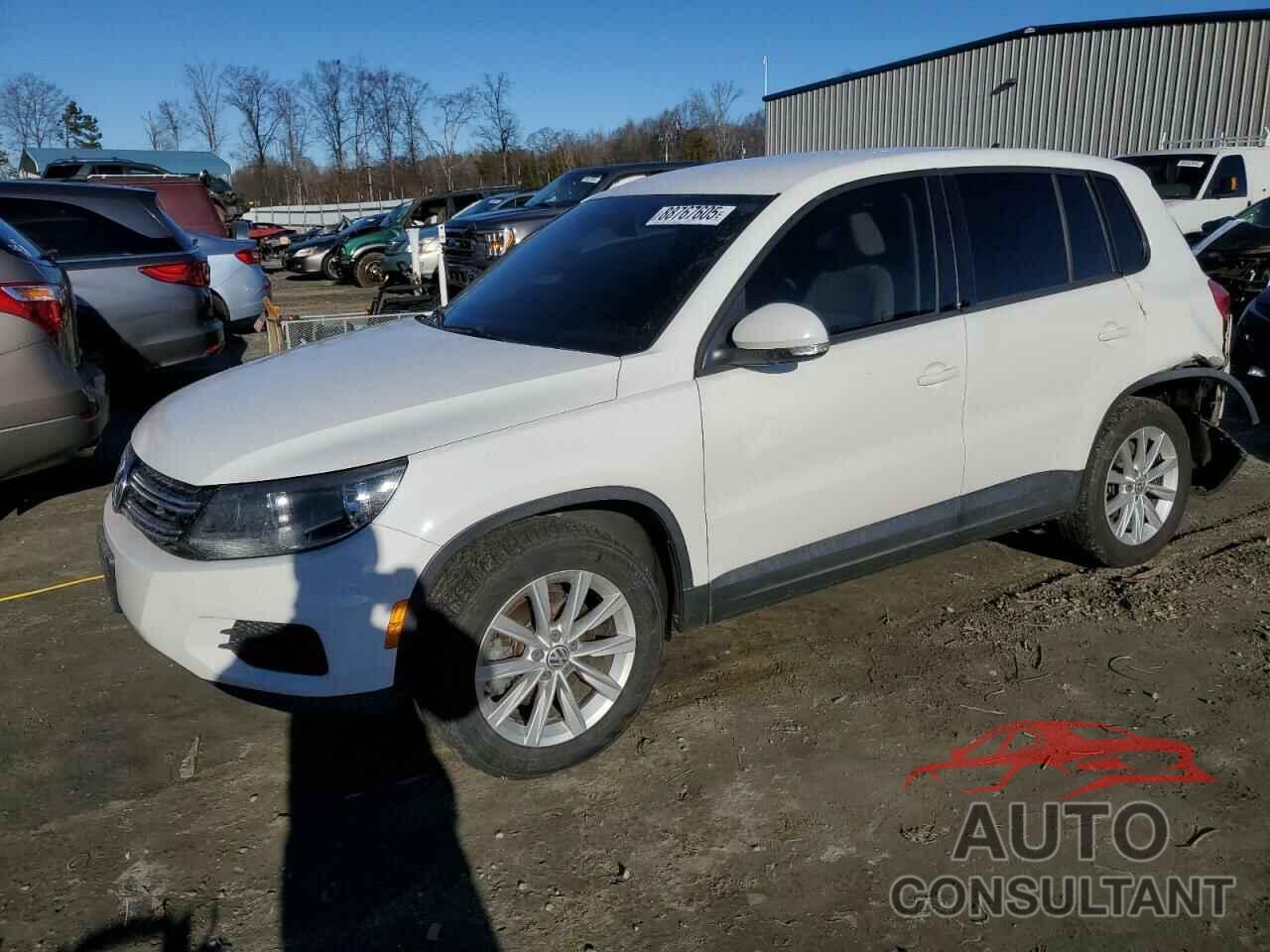 VOLKSWAGEN TIGUAN 2014 - WVGAV3AX2EW546205