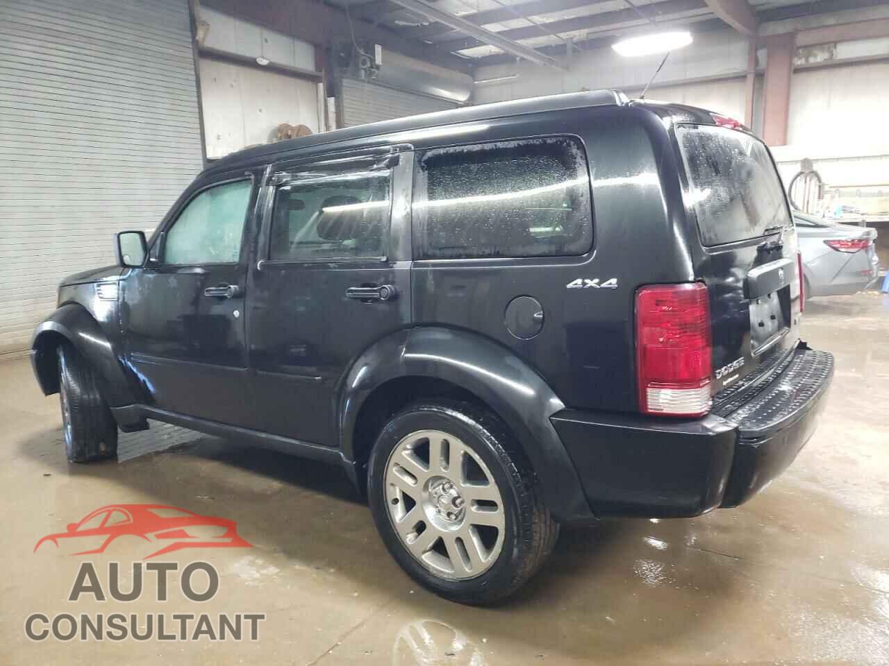 DODGE NITRO 2010 - 1D4PU4GK3AW174955