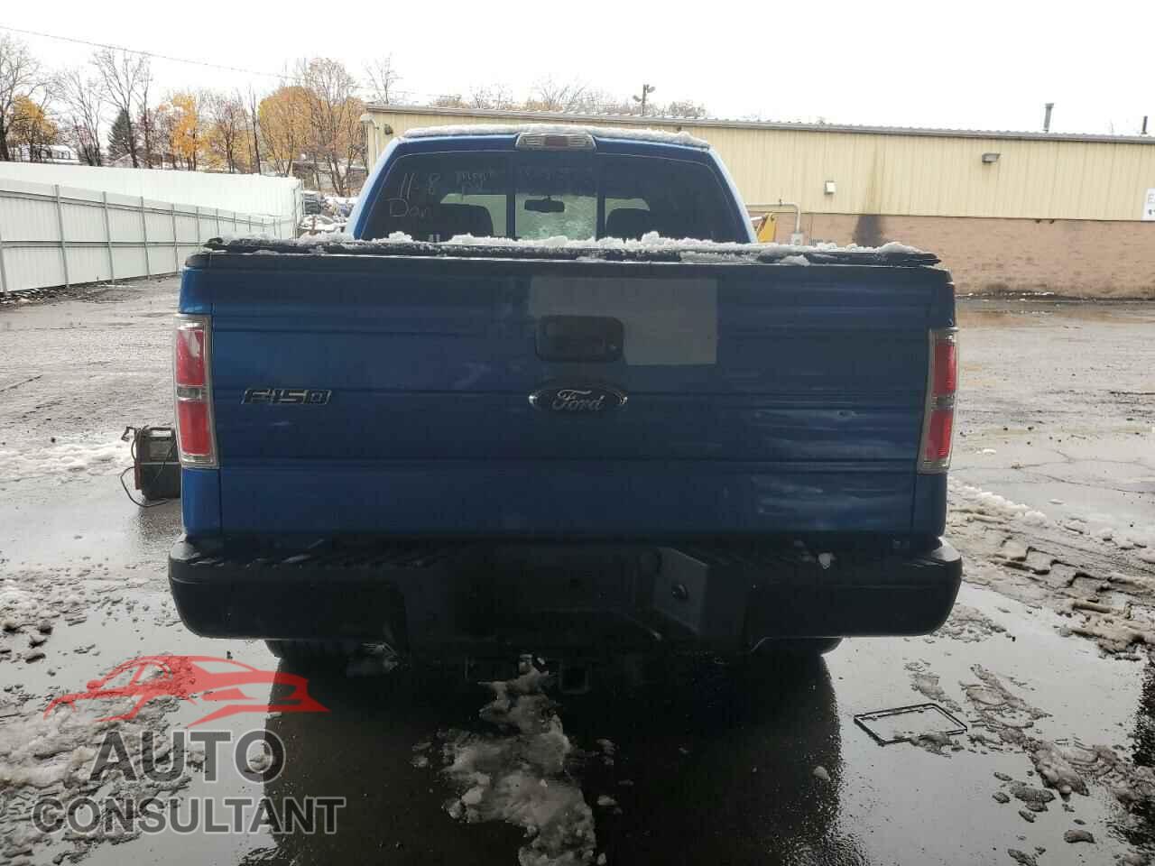 FORD F-150 2009 - 1FTPW14V19FA11155