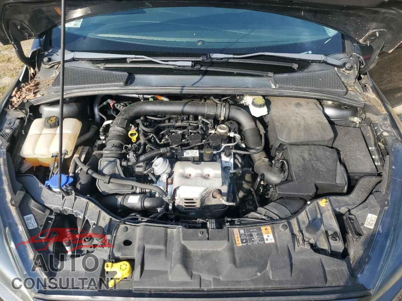 FORD FOCUS 2017 - 1FADP3FE3HL227071