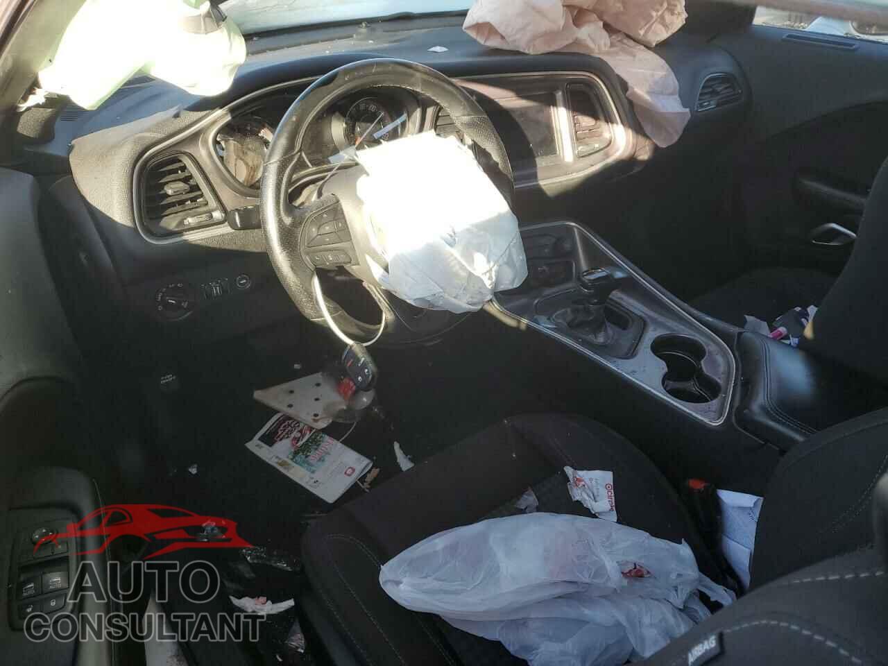 DODGE CHALLENGER 2019 - 2C3CDZAG2KH735406