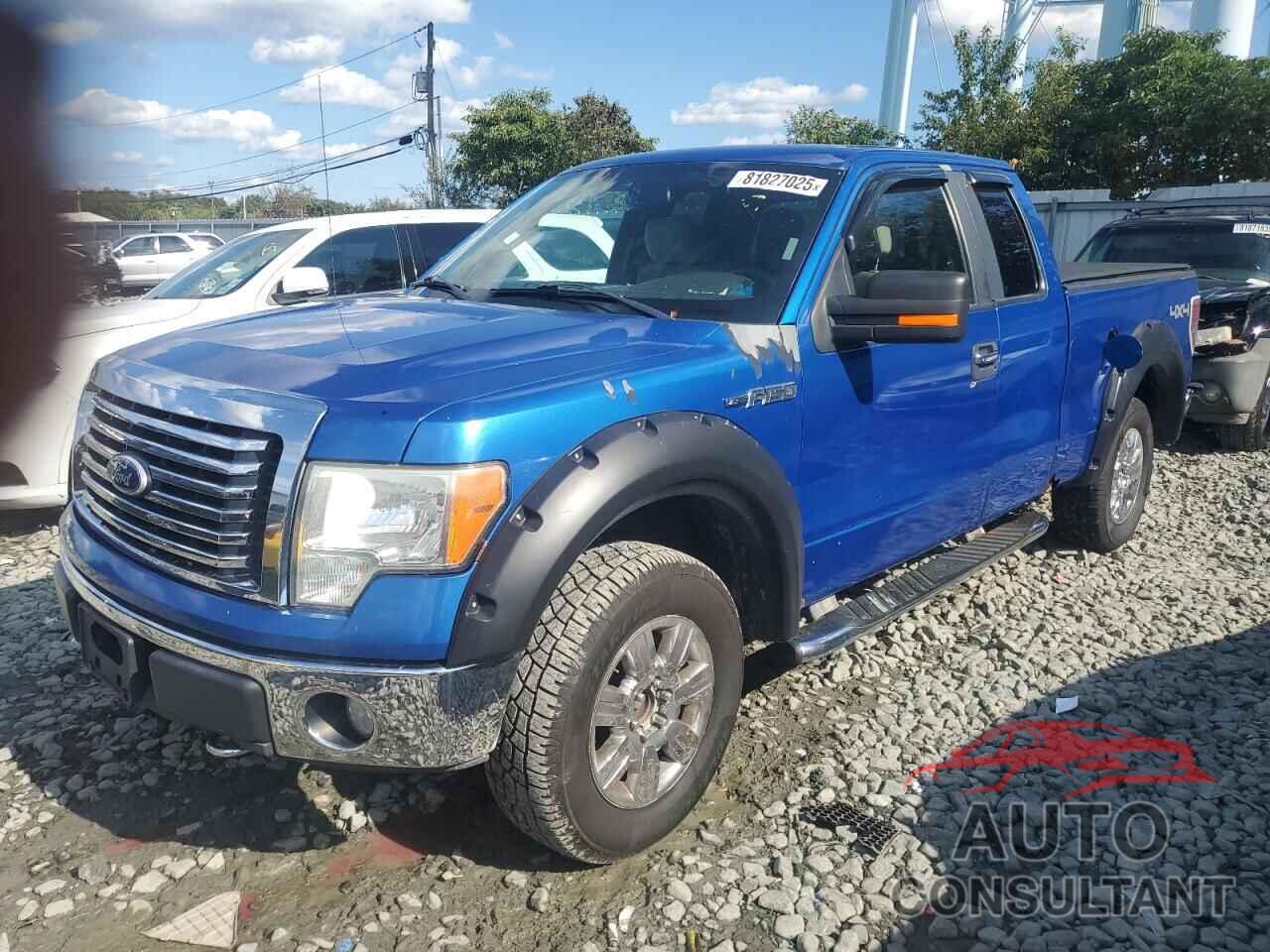 FORD F-150 2010 - 1FTFX1EV1AFA27187