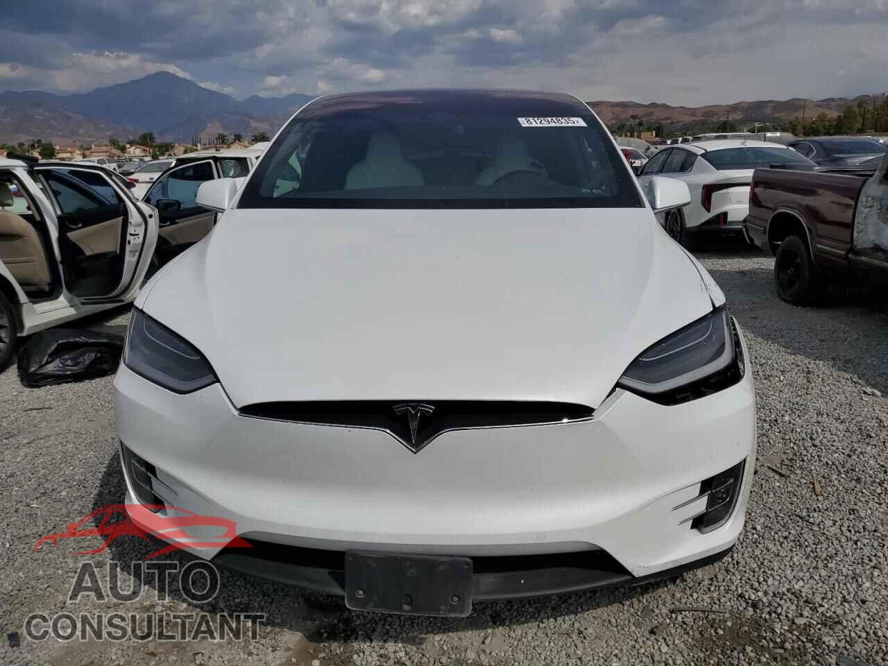 TESLA MODEL X 2019 - 5YJXCDE2XKF207331