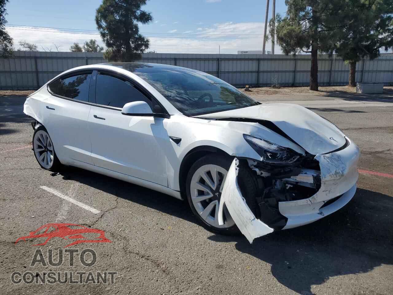 TESLA MODEL 3 2021 - 5YJ3E1EA0MF029351