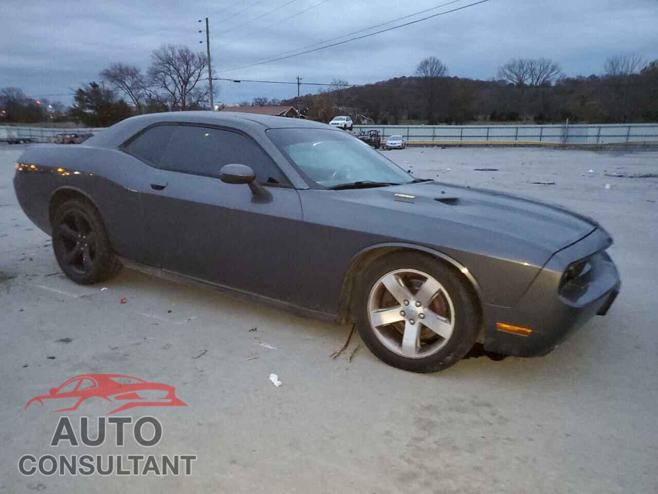 DODGE CHALLENGER 2014 - 2C3CDYBT5EH160826