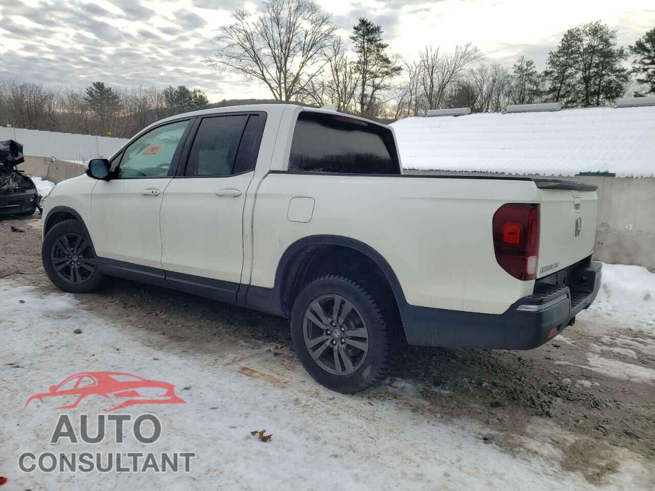HONDA RIDGELINE 2019 - 5FPYK3F12KB023791