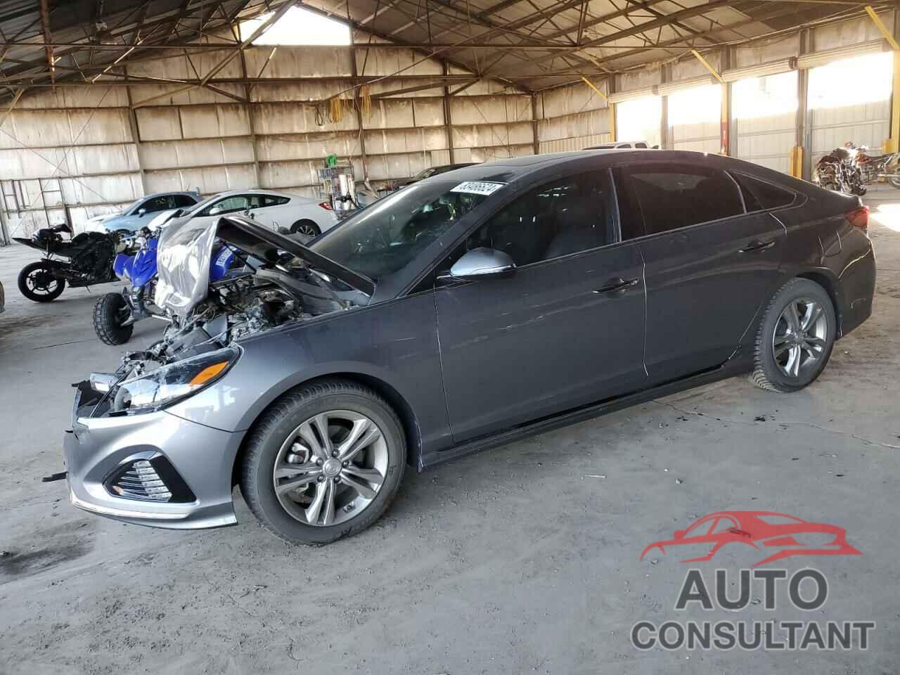 HYUNDAI SONATA 2019 - 5NPE34AF3KH819811