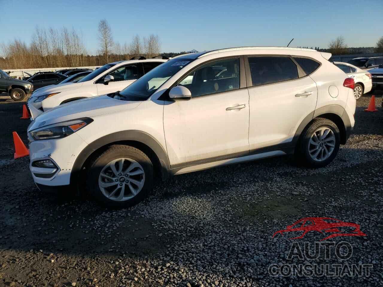 HYUNDAI TUCSON 2017 - KM8J3CA26HU316516